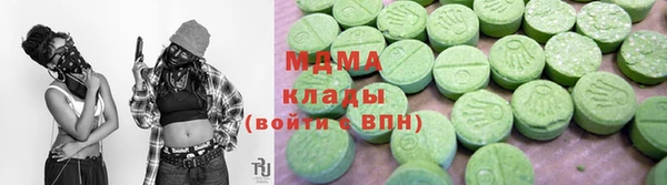 индика Алексин