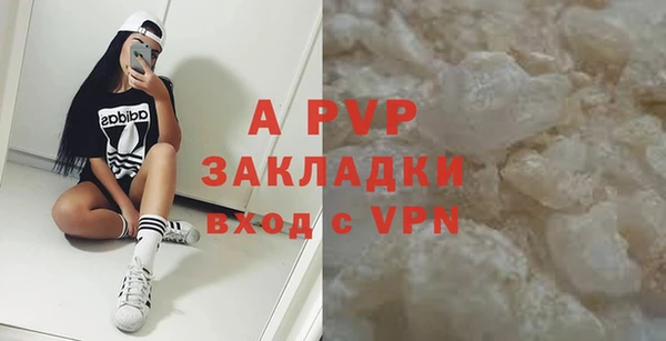 индика Алексин