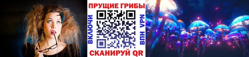 Галлюциногенные грибы GOLDEN TEACHER  купить  цена  kraken как войти  Староминская 